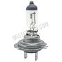 Halogeenlamp H7