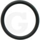 51029531_0