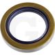 51053881_0