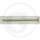 51071994_0