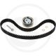 Multiriem-set TD2011L4 / TCD2011L4 / F4L2011 / BF4M2011
