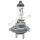Halogeenlamp H7