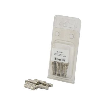 Fusible, 13 ampères, 240V, 10 pièces Agripak