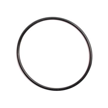 O-ring 1/16\" x 1 3/4\" (BS031) 70 shore