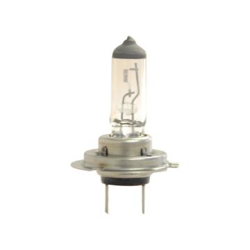 Gloeilamp, 12V, 55W Watts, PX26d Voet