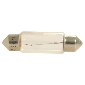 Ampoule feston, 24V, 5W Watts, SV8.5 Foot