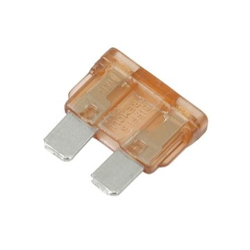 Fusible de la fiche - 5,0 ampères