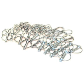 Borgveren en Haarspeldveren assortiment (50stuks Bag)