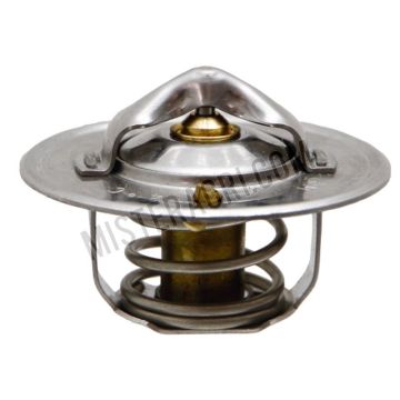 Thermostaat - motortype: BD144