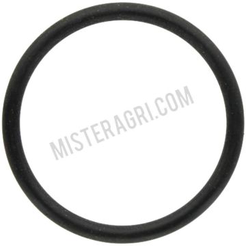 O-Ring - Regelstift