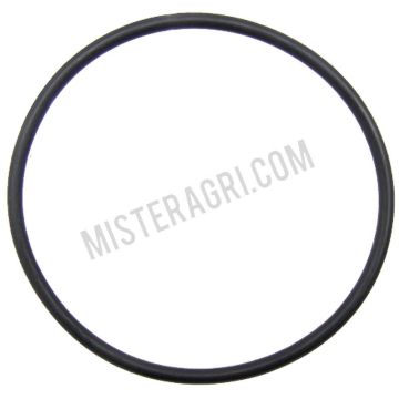 O-ring