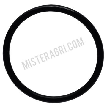 O-ring