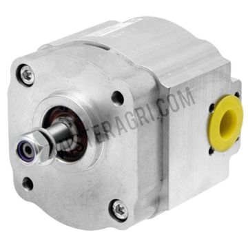 Hydraulische Pumpe