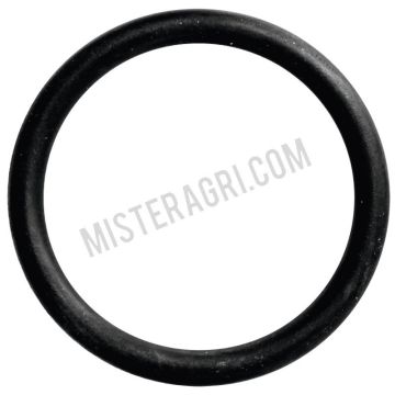 Bague d'étanchéité - boîtier du thermostat, pompe à eau