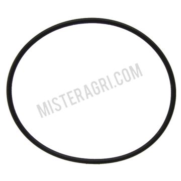 O-ring