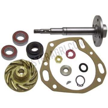 Kit de réparation pour pompe à eau - avec roulement