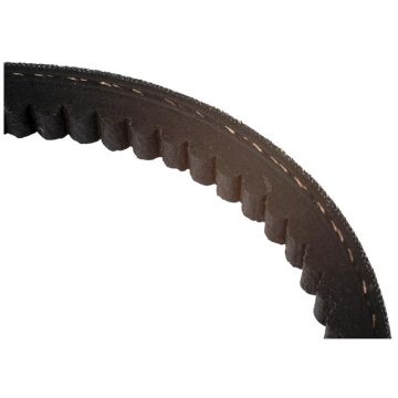 Courroie trapézoïdale AVX 10 x 825