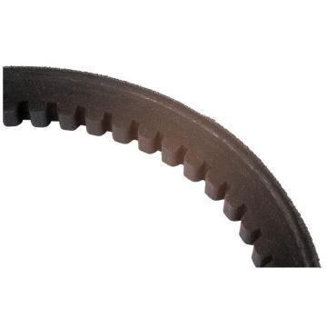 Ceinture XPA 1000