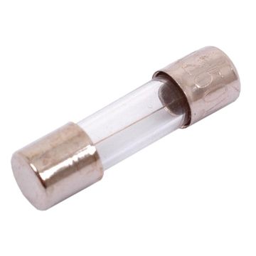 Zekering Glas 5.0 Blaasklasse