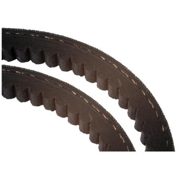 Courroie trapézoïdale AVX 10 x 1425