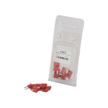 AGR. 10 MINI FUSIBLES 10A