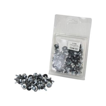 Zelfborende plaatschroeven (Din 963) 50stuks Agripak