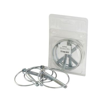 Ronde Borgveer, Pen Ø9.5mm x 80mm (4stuks Agripak)
