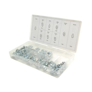 Assortiment Vetnippels Metrisch (110 Stuks)