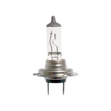 Gloeilamp, 12V, 55W Watts, Voet (Blauw)