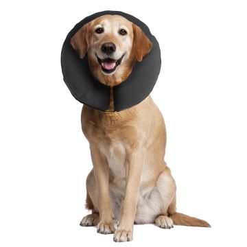 Zencollar the original ProCollar XLarge
