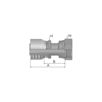 Parker ORFS Perskoppeling 1/2'' x 1'' - 14TPI Vrouw Wartel (Lang)
