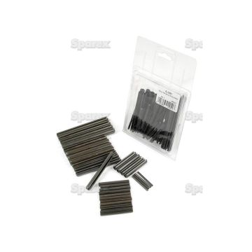 Plasticdoos Holspieen Assortment - Ø3 - 10 x 40 - 100mm, 32 stuks Agripak.
