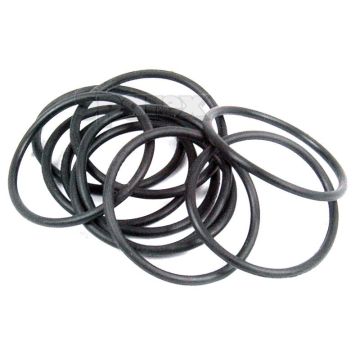 O-ring 1/16\" x 1\" (BS022) 70 shore