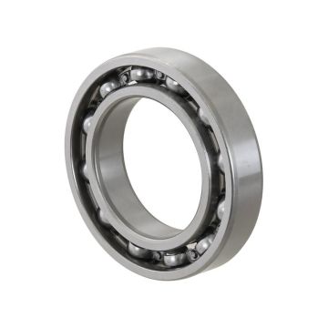 Sparex Groefkogellager (6011)