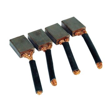 Kohlebürsten-Set