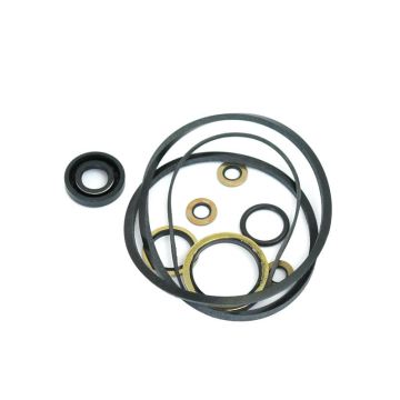 Reparatieset (Early Kidney-Shaped Pump)