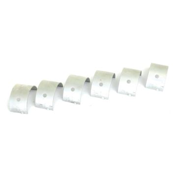 Hoofdlager +0.020'' (0.50mm) (Set)