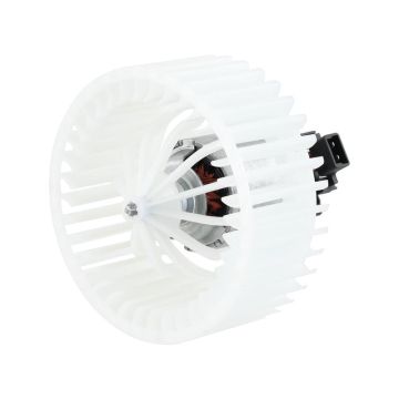 Ventilator Motor