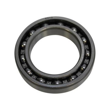 Sparex Groefkogellager (6010)