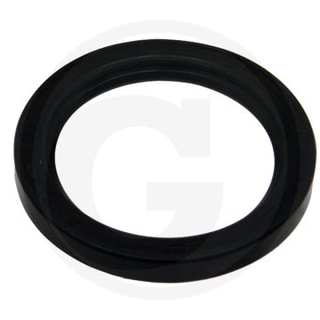 Dichtungsring