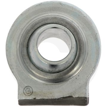 Kogelaanlaseind