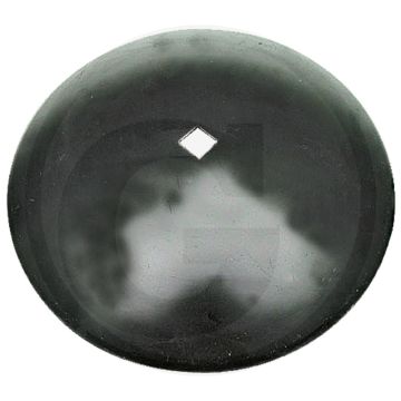 Disque d'œuf