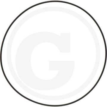 Carraro O-RING 125x2 -