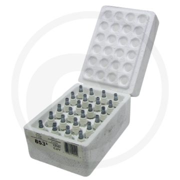 Champion Bougies