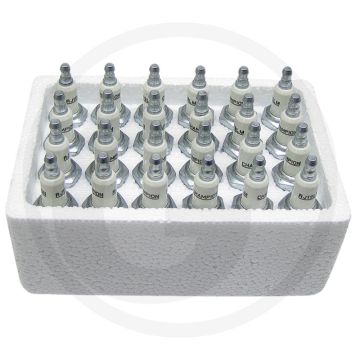 Champion Bougies