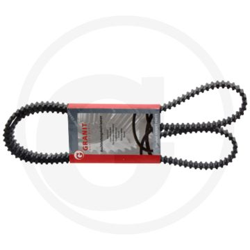 Getande riem