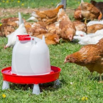 Horizont geflügeltränke 6 liter - robuster kunststoff, bajonettverschluss, korrosionsschutz