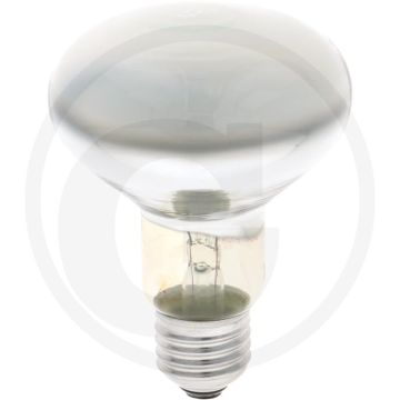 Horizont infrarotlampe 100 w klar - hartglas für robuste bauweise