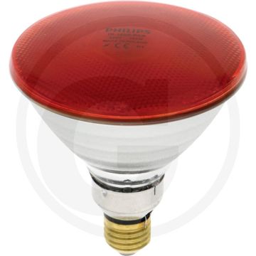Horizont infrarotlampe 100 w rot - hartglas für robuste bauweise