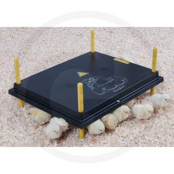 Horizont verwarmingsplaat voor 40 - 45 kuikens - 40 x 50 cm, 50 w, 220-240 ac